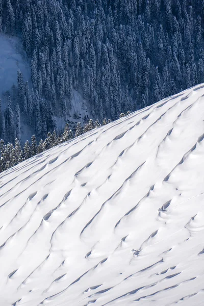 Vinter berg slutta och skog. — Stockfoto