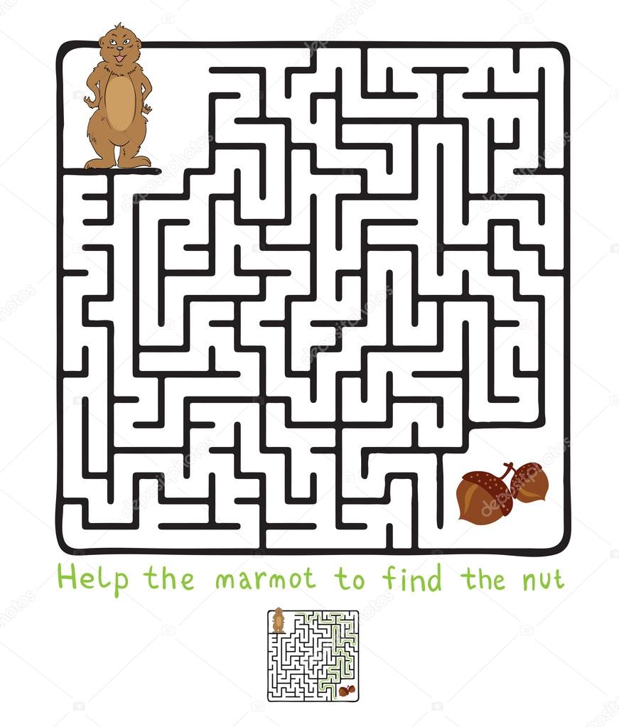 Vector Maze, Labyrinth with Marmot and Nut.