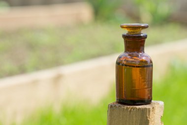 küçük kahverengi şişe ve çim