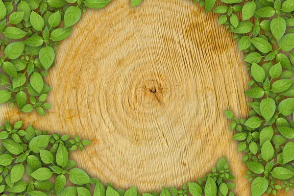 Sección transversal del tronco del árbol con símbolo de reciclaje de plantas verdes — Foto de Stock
