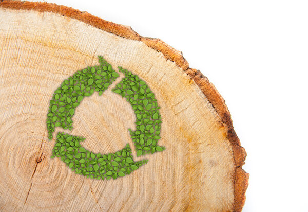 Cross section of tree trunk with recycle symbol, on white background