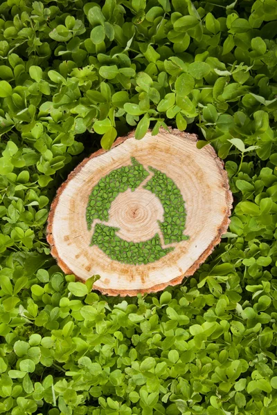 Tree stump on the grass with recycle symbol, top view — Stock Photo, Image