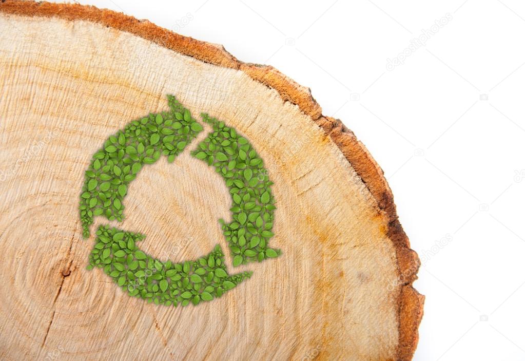 Cross section of tree trunk with recycle symbol, on white background