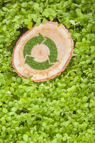 tree stump on the grass with recycle symbol, top view