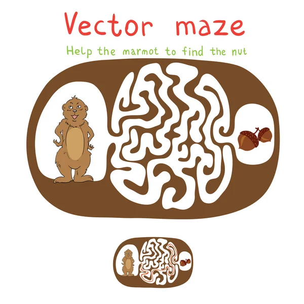 Vector Maze, Labyrinth with Marmot and Nut. — Stock Vector