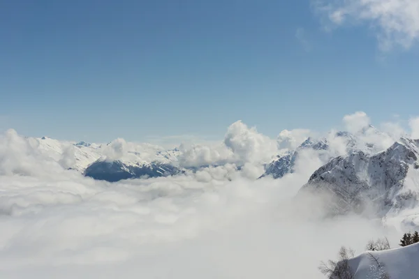 Δες στο βουνά και καταγάλανο ουρανό πάνω από σύννεφα, Κράσναγια Πολιάνα, Sochi, Ρωσία — Φωτογραφία Αρχείου