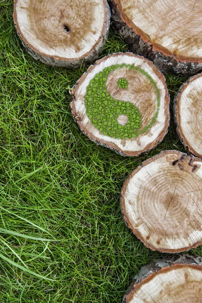 Tree stumps on the grass with ying yang symbol. — Stock Photo, Image