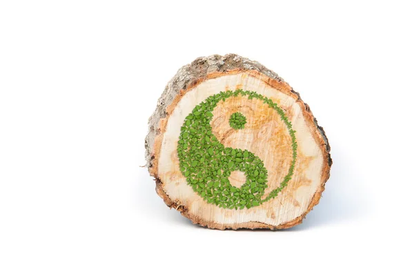 Cross section of tree trunk with Ying yang symbol. — Stock Photo, Image