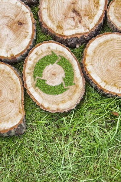 Tree stumps on the grass with recycle symbol — Stock Photo, Image