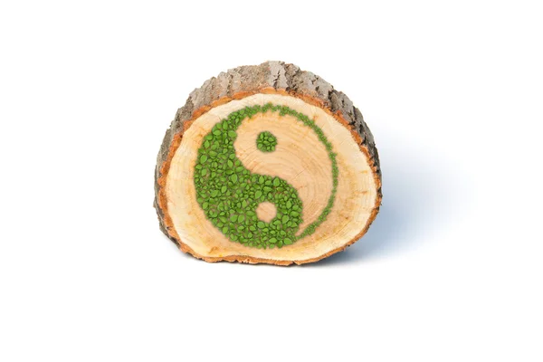 Cross section of tree trunk with Ying yang symbol. — Stock Photo, Image