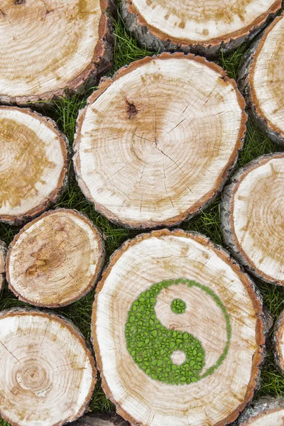 Tree stumps on the grass with ying yang symbol. — Stock Photo, Image
