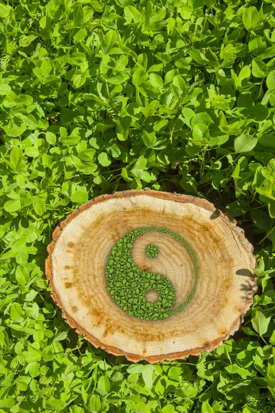 Pnia drzewa na trawie symbolem ying yang. — Zdjęcie stockowe