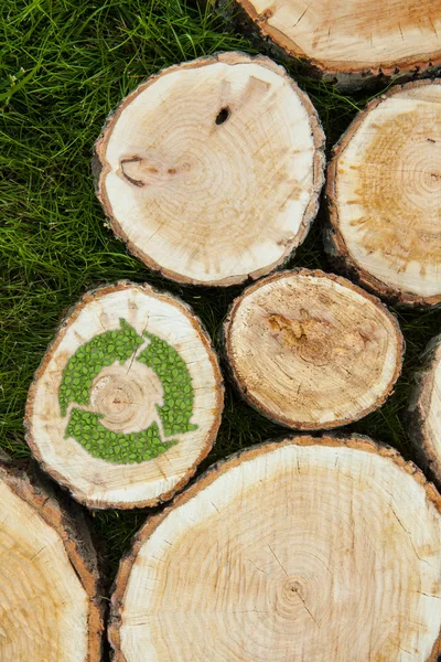 Troncos de árvore na grama com símbolo de reciclagem — Fotografia de Stock