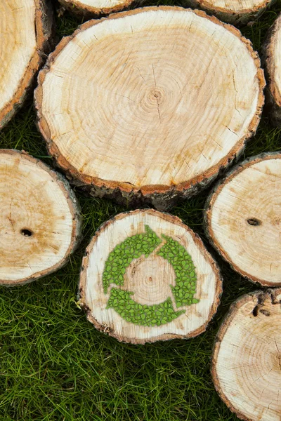 Baumstümpfe auf dem Rasen mit Recycling-Symbol — Stockfoto