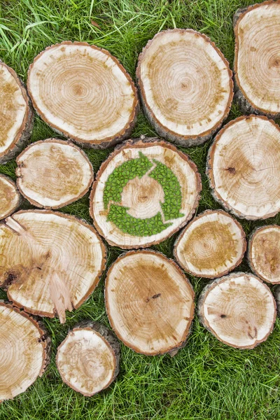 Tree stumps on the grass with recycle symbol — Stock Photo, Image