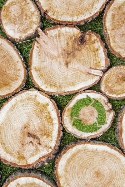 Tocones de árboles en la hierba con símbolo de reciclaje — Foto de Stock