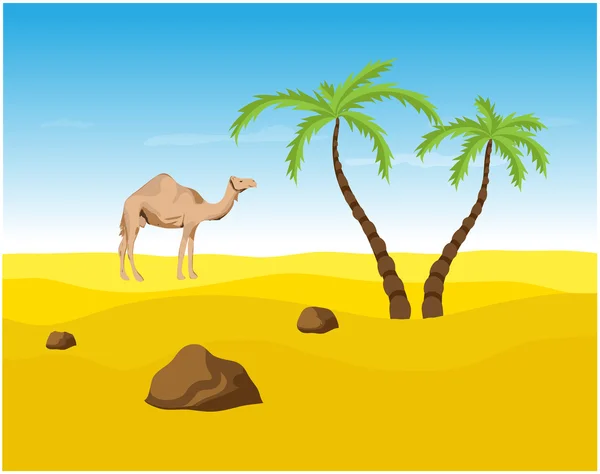 Camel och palmer i öknen, oasis — Stockfoto