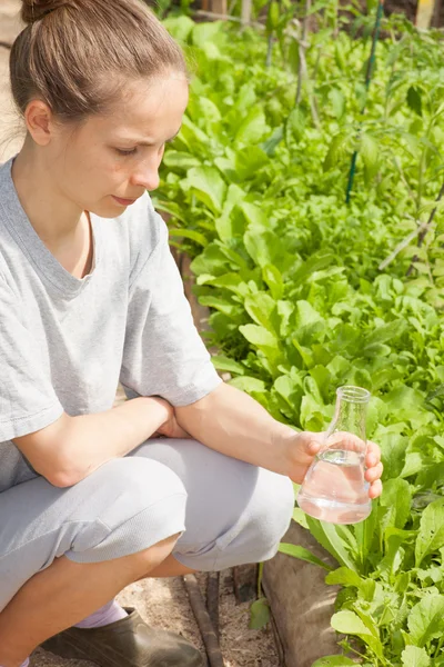 Femme fertilise des plantes à partir d'une ampoule en verre — Photo