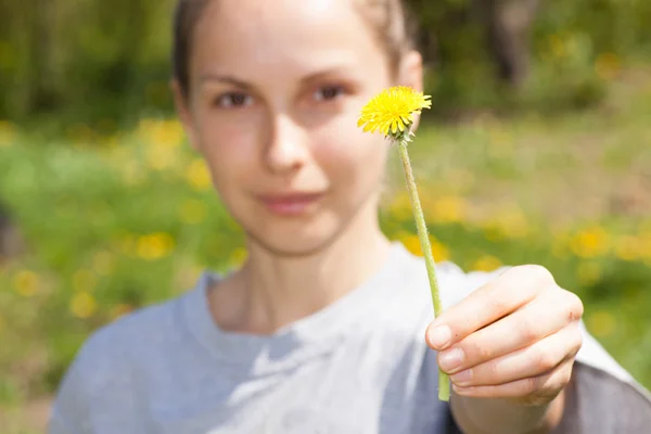 Mano femenina sostiene una flor de diente de león — Foto de Stock