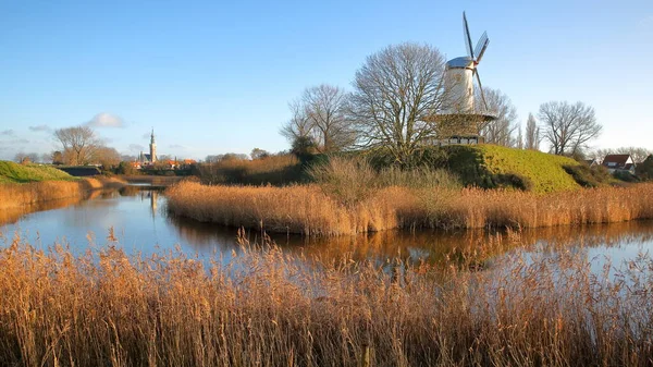 Het Kleurrijke Landschap Rondom Veere Zeeland Nederland Met Het Stadhuis — Stockfoto