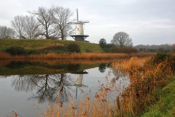 Reflecties Van Een Traditionele Windmolen Het Kleurrijke Landschap Rond Veere — Stockfoto