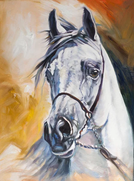Cavalo Branco Árabe Obra Arte Original Feito Mão Óleo Sobre — Fotografia de Stock