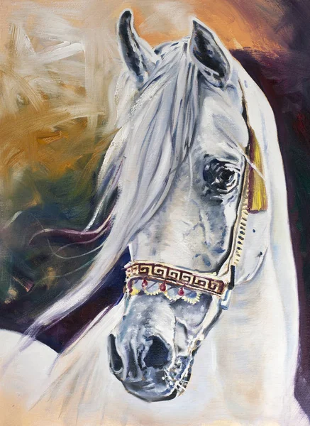 White Arabian Horse Portrait Original Art Work Oil Canvas Hand — Stock Photo, Image