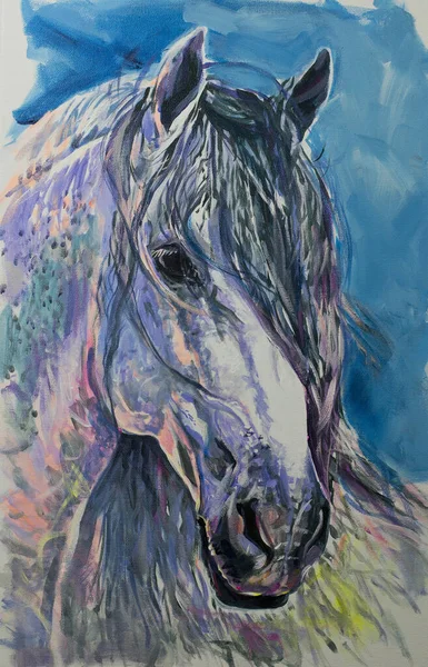 Retrato Cavalo Sobre Fundo Azul Obra Arte Original Moderna Ilustração — Fotografia de Stock