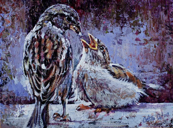 Sparrow Feeding Baby Bird Oil Canvas Hand Made Painting Original — Stock Photo, Image