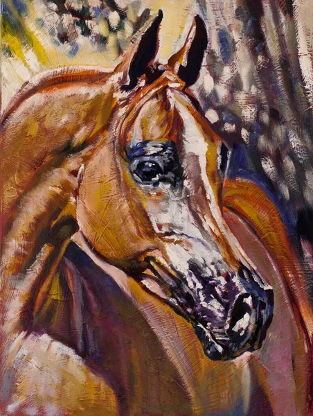 Cavalo Árabe Marrom Pintura Arte Original Óleo Sobre Tela Feito — Fotografia de Stock