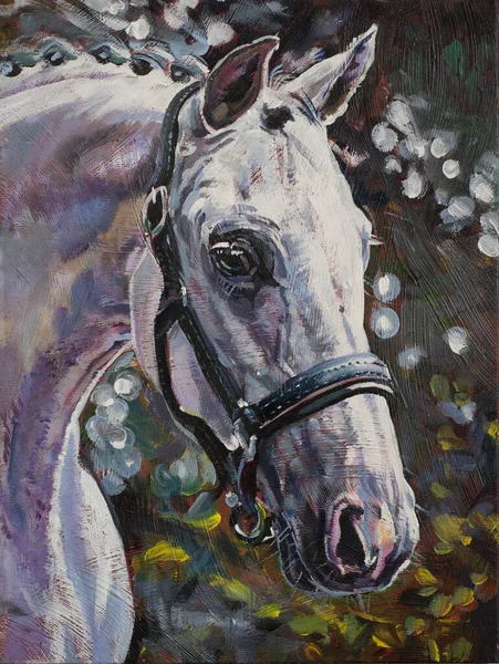 Wit Arabisch Paard Hoofd Portret Schilderen Origineel Kunstwerk Olie Doek — Stockfoto