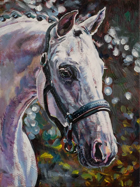 Cabeza Caballo Árabe Blanco Retrato Pintura Obra Arte Original Óleo — Foto de Stock