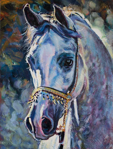 White Arabian Horse Head Portrait Painting Original Artwork Oil Canvas — Stock Photo, Image