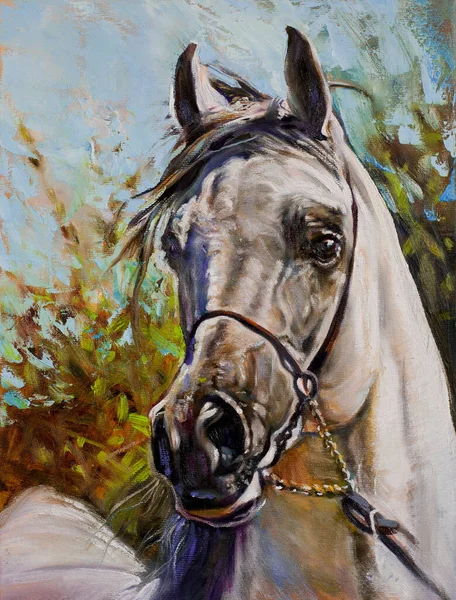 白いアラビア馬の頭の肖像画は キャンバスのイラストにオリジナルアートワークオイルを描く — ストック写真
