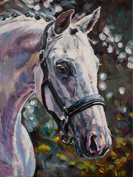 Testa Cavallo Arabo Bianco Ritratto Pittura Originale Olio Tela Illustrazione Fotografia Stock
