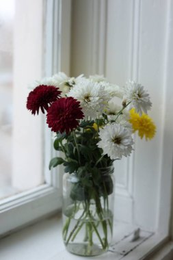 Krizantem buketi beyaz, sarı ve bordo renklerinde camdan bir kavanoza konulmuş ve pencere kenarına yerleştirilmiş. Yumuşak doğal gün ışığı sakin, rahat ve rahat bir atmosfer yaratır. Ev dekoru temaları için ideal