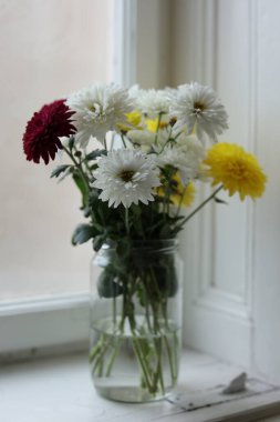 Krizantem buketi beyaz, sarı ve bordo renklerinde camdan bir kavanoza konulmuş ve pencere kenarına yerleştirilmiş. Yumuşak doğal gün ışığı sakin, rahat ve rahat bir atmosfer yaratır. Ev dekoru temaları için ideal