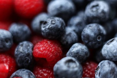 Taze yaban mersinleri ve ahudududularının zengin doğal renklerde ve sığ alan derinliğinde makro yakın plan fotoğrafı. Görüntü, sulu dokuyu, tazeliği ve kırmızı ve mavi böğürtlenler arasındaki kontrastı vurguluyor, yemek için ideal, sağlıklı beslenme, beslenme
