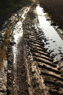 Çamurlu alanda lastik izleri var.