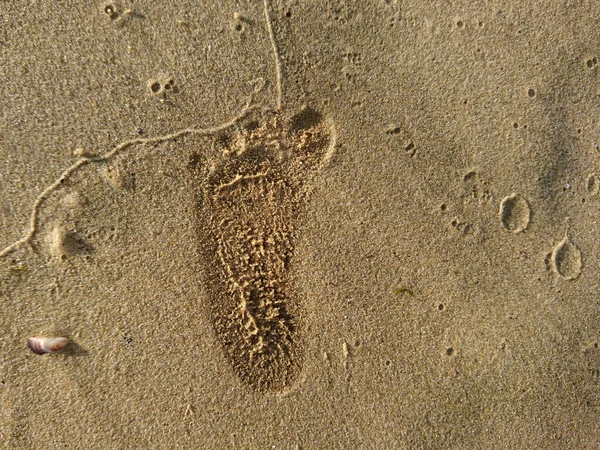 Children Foot Print Sand Sea — Stock Photo, Image
