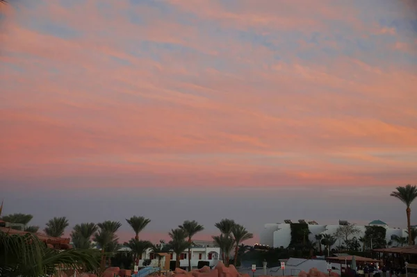 Landschaft mit Sonnenuntergang unter Palmen am Meer. — Stockfoto