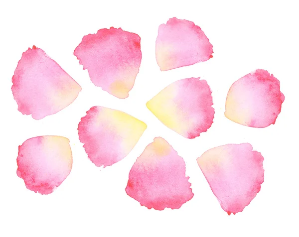 Prvek návrhu akvarel růžové okvětní lístky — Stock fotografie