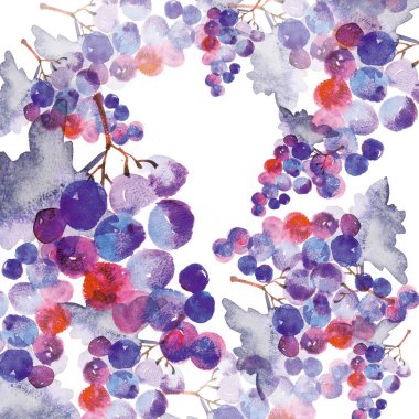 suluboya el illüstrasyon mavi veya siyah üzüm yapımı