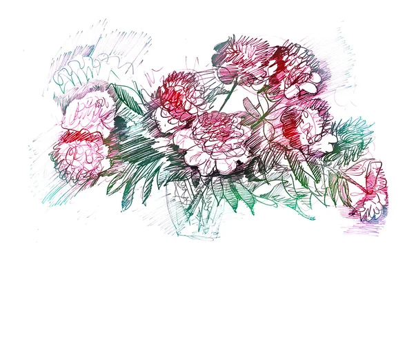 작 약 꽃 손 그리기입니다. 잉크 그려진된 모란입니다. peopy 꽃병 스케치에서 — 스톡 사진