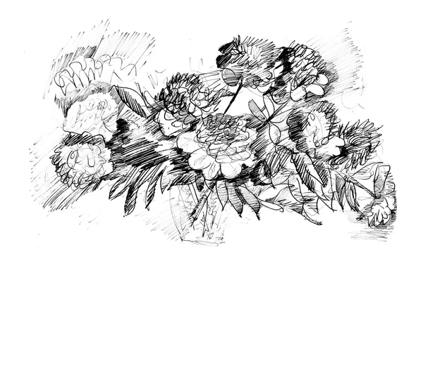 Peony flower hand drawing. ink drawn peony. peopy in vase sketch — Stock Photo, Image