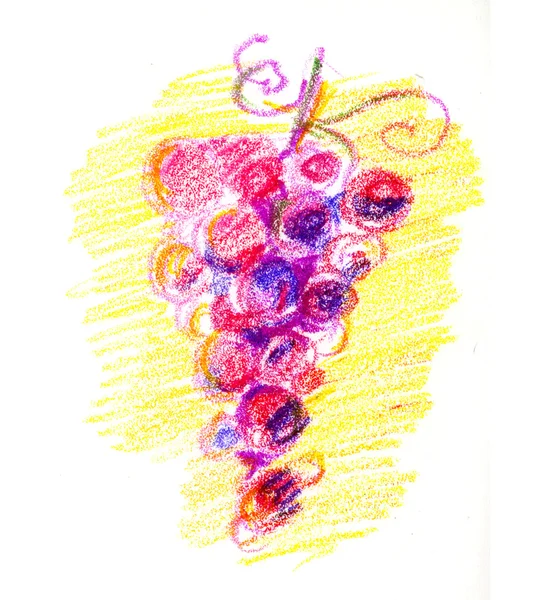 Crayon kleur hand getekende illustratie van druif bos — Stockfoto