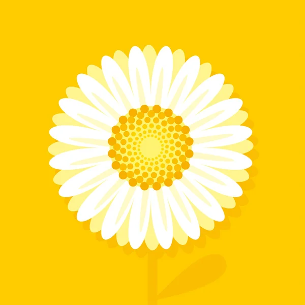 Decorative chamomile vector illustration — ストックベクタ