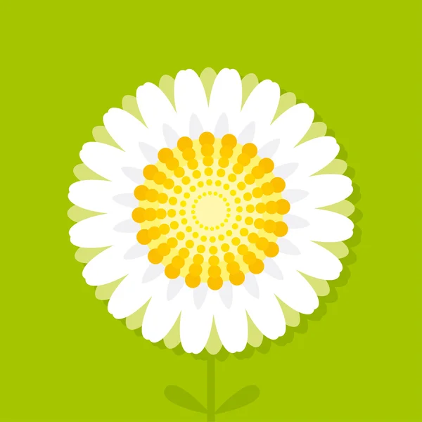 Decorative chamomile vector illustration — Stock Vector