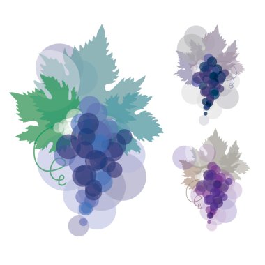 blue wine grape clipart