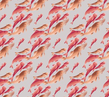 Koi balık illüstrasyon